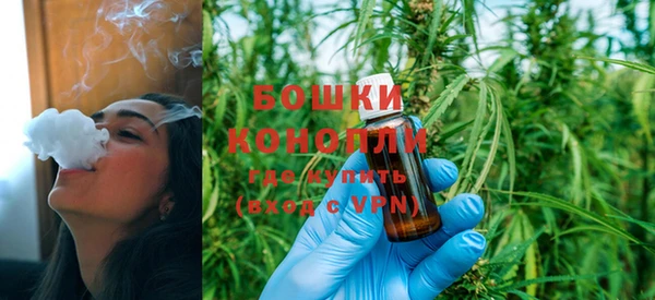 хмурый Нягань