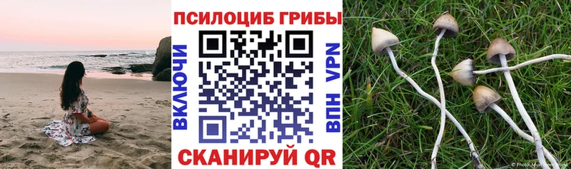 ОМГ ОМГ маркетплейс Нижневартовск Псилоцибиновые грибы MAGIC MUSHROOMS